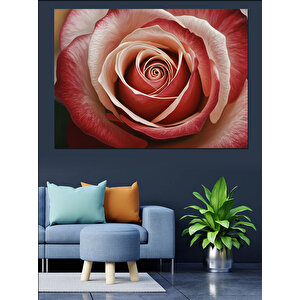 Yakın Plan Spiral Gül Dekoratif Kanvas - Mdf Ahşap Tablo 50x70 cm