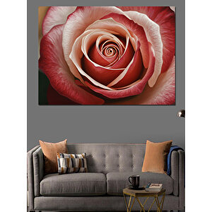 Yakın Plan Spiral Gül Dekoratif Kanvas - Mdf Ahşap Tablo 50x70 cm