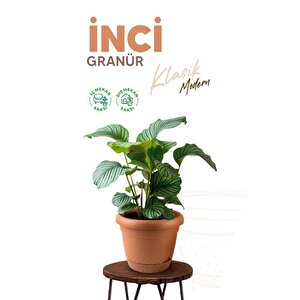 Omnipazar Krs-341 Dekoratif İnci Bitki Çiçek Saksı Takımı 1.1 Litre No 1