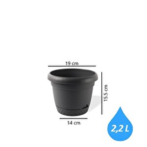 Omnipazar Krs Dekoratif İnci Bitki Çiçek Saksı Takımı 5'li Set Antrasit