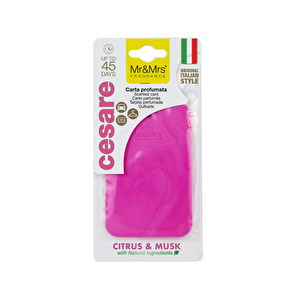 Cesare Kart - Oto Araç Kokusu, Asma Kart Kokusu - Citrus & Musk