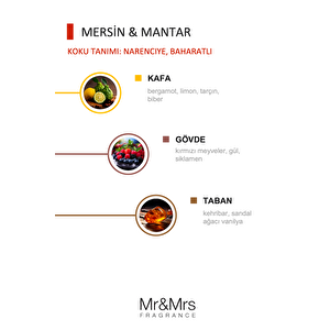 Cesare Kart - Oto Araç Kokusu, Asma Kart Kokusu - Citrus & Musk