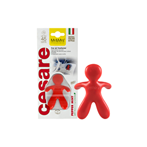 Cesare - Oto Araç Kokusu, Araba Klima Kokusu, Oto Kokusu - Pepper Mint