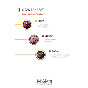 Cesare Kart - Oto Araç Kokusu, Asma Kart Kokusu - Warm Spicy