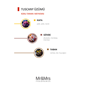 Cesare - Oto Araç Kokusu, Araba Klima Kokusu, Oto Kokusu - Tuscany Grape