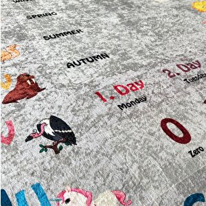 Çocuk Bebek Odası İngilizce Figürlü Eğitici Oyun Halısı Gri Halı Yıkanabilir Kaymaz