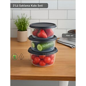 Yuvarlak 3'lü Saklama Kabı Bpa Free Derin Dondurucu Için Uygun Beslenme Kabı 700 Ml