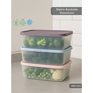 3'lü Dipfriz Saklama Kabı - No Frost Silikon Kapaklı | Derin Dondurucu Düzenleyici - Bpa Free - 1500 Ml