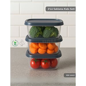 3'lü Saklama Kabı Seti Kare Erzak Kabı Bpa Free Derin Dondurucu Için Uygun 250 Ml