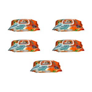 Freshmaker Islak Havlu Mendil - Alkolsüz - Ph Dengelenmiş - Çiçeksi Kokular - 90 Adetlik 5 Paket