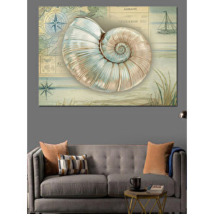 Deniz Kabuklu Bilimsel Çizim Dekoratif Kanvas - Mdf Ahşap Tablo 50x70 cm