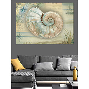 Deniz Kabuklu Bilimsel Çizim Dekoratif Kanvas - Mdf Ahşap Tablo 70x100 cm
