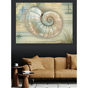 Deniz Kabuklu Bilimsel Çizim Dekoratif Kanvas - Mdf Ahşap Tablo