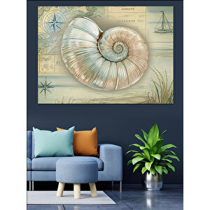 Deniz Kabuklu Bilimsel Çizim Dekoratif Kanvas - Mdf Ahşap Tablo