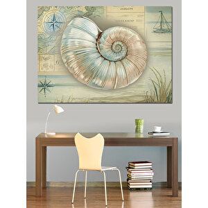 Deniz Kabuklu Bilimsel Çizim Dekoratif Kanvas - Mdf Ahşap Tablo 35x50 cm