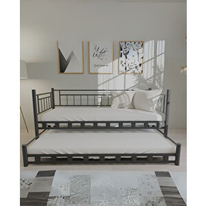 Dai̇lybed Yavrulu Metal Karyola Sedi̇r 90 X 190 Cm - Si̇yah
