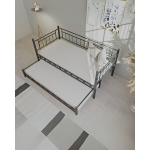 Dai̇lybed Yavrulu Metal Karyola Sedi̇r 90 X 200 Cm - Si̇yah
