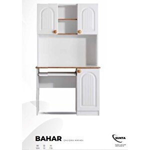 Bahar Çalişma Masası