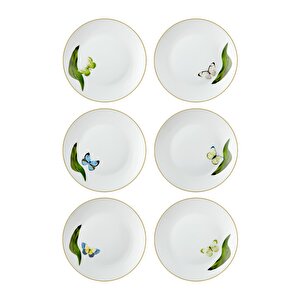 Folium Pasta Tabağı 6 Kişilik