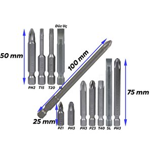 Matkap Bits Uç Vidalama Ucu Düz Yıldız Torx Uç (12 Parça)