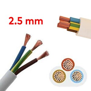 Ttr Cca Çok Telli Elektrik Kablosu Topraklı Bakır İletken Damarlı Beyaz Kablo 3x2.5 Mm 100 Metre