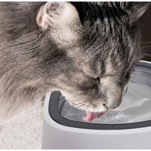 Reyo Yeni Nesil Kedi & Köpekler Için Sıçramaya Karşı Korunan Su Kabı Pembe