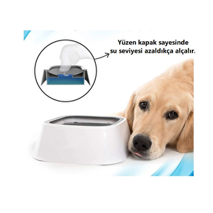 Reyo Yeni Nesil Kedi & Köpekler Için Sıçramaya Karşı Korunan Su Kabı Siyah