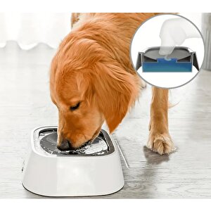 Reyo Yeni Nesil Kedi & Köpekler Için Sıçramaya Karşı Korunan Su Kabı Yeşil