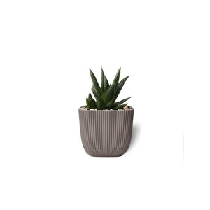 Krs-381 Dekoratif Plastik Mercan Kare Saksı 0.27 Litre No 1 Kahverengi