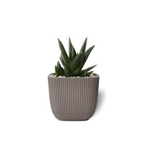 Krs-383 Dekoratif Plastik Mercan Kare Saksı 1.8 Litre No 3 Kahverengi