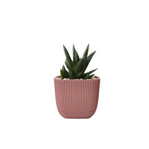 Krs-383 Dekoratif Plastik Mercan Kare Saksı 1.8 Litre No 3 Açık Pembe