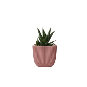 Krs-381 Dekoratif Plastik Mercan Kare Saksı 0.27 Litre No 1 Açık Pembe