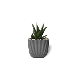 Krs-381 Dekoratif Plastik Mercan Kare Saksı 0.27 Litre No 1 Antrasit