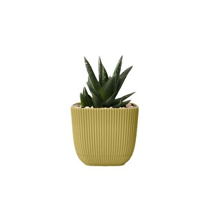 Krs-383 Dekoratif Plastik Mercan Kare Saksı 1.8 Litre No 3 Mat Sarı