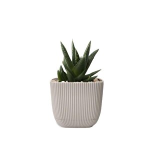 Krs-383 Dekoratif Plastik Mercan Kare Saksı 1.8 Litre No 3 Bej