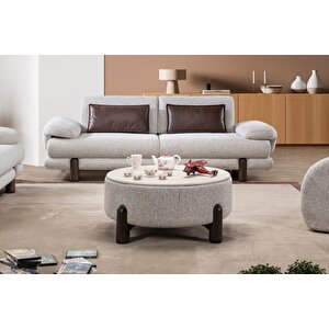 Troy Basic Puf