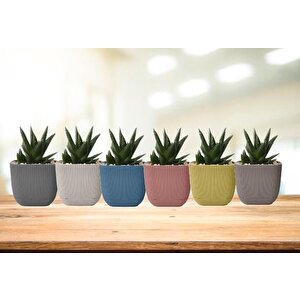Krs-384 Dekoratif Plastik Mercan Kare Saksı 4 Lt 6 Renk Set