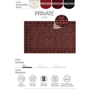 Private Kırmızı Halı Afgan Etnik Desen Yıkanabilir Dokuma Şönil Halı Otantik Salon Halısı 95x300 cm