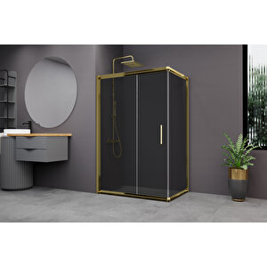 Minesota Temperli 6 Mm Dikdörtgen Cam Duşakabin Altın Profil Füme Cam 100x140 cm