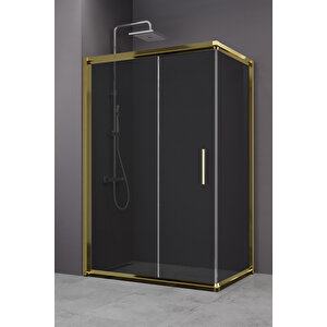 Minesota Temperli 6 Mm Dikdörtgen Cam Duşakabin Altın Profil Füme Cam 70x110 cm