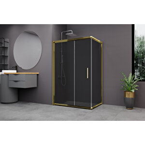 Minesota Temperli 6 Mm Dikdörtgen Cam Duşakabin Altın Profil Füme Cam 90x150 cm