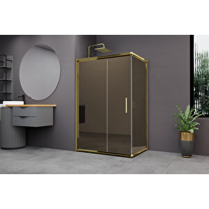 Minesota Temperli 6 Mm Dikdörtgen Cam Duşakabin Altın Profil Bronz Reflekte Cam 100x150 cm