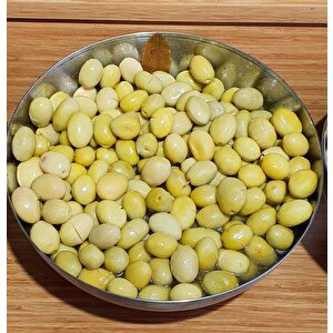 Sarı Ulak Zeytin Fidanı