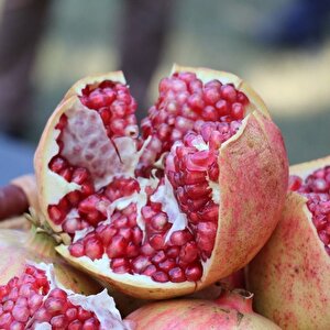 Tüplü Tatlı Çekirdeksiz Nar Fidanı
