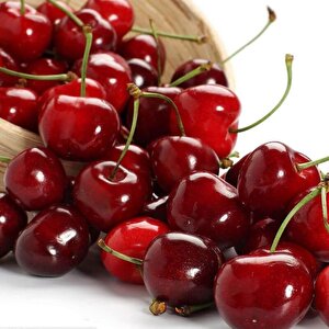 Seneye Meyve Verebilir Durumda  Yarı Bodur Kütahya Vişne Fidanı