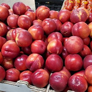 Tüplü Yarı Bodur May Grand Nektarin Fidanı