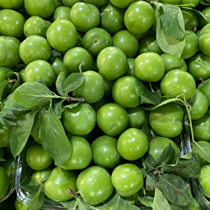 Tüplü Tam Bodur Cin Erik Fidanı