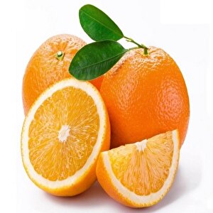 Tüplü Yarı Bodur Washıngton Portakal Fidanı
