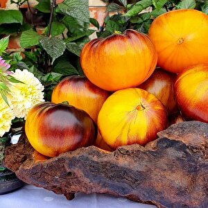 İri Etli Meyveli Wolverine Domates Tohumu (15 Tohum)