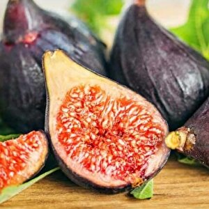 Soğuklara Dayanılı Ficus Carica Ronde De Bordeaux İncir Fidanı Kendine Verimli